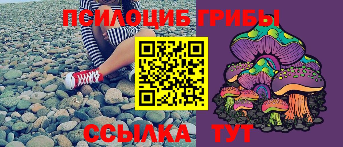 Галлюциногенные грибы MAGIC MUSHROOMS  Вход с VPN  Скопин 